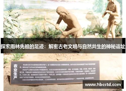 探索雨林先祖的足迹：解密古老文明与自然共生的神秘遗址